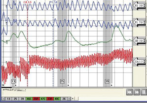 polygraph examiner in Kingston